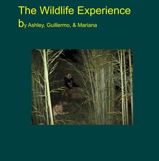 The Wildlife Experience by Ashley, Guillermo, & Mariana 
