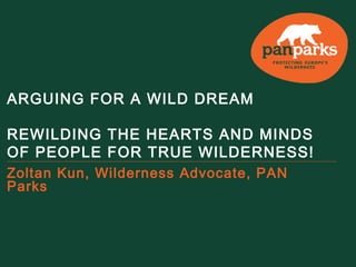 ARGUING FOR A WILD DREAM
REWILDING THE HEARTS AND MINDS
OF PEOPLE FOR TRUE WILDERNESS!
Zoltan Kun, Wilderness Advocate, PAN
Parks

 