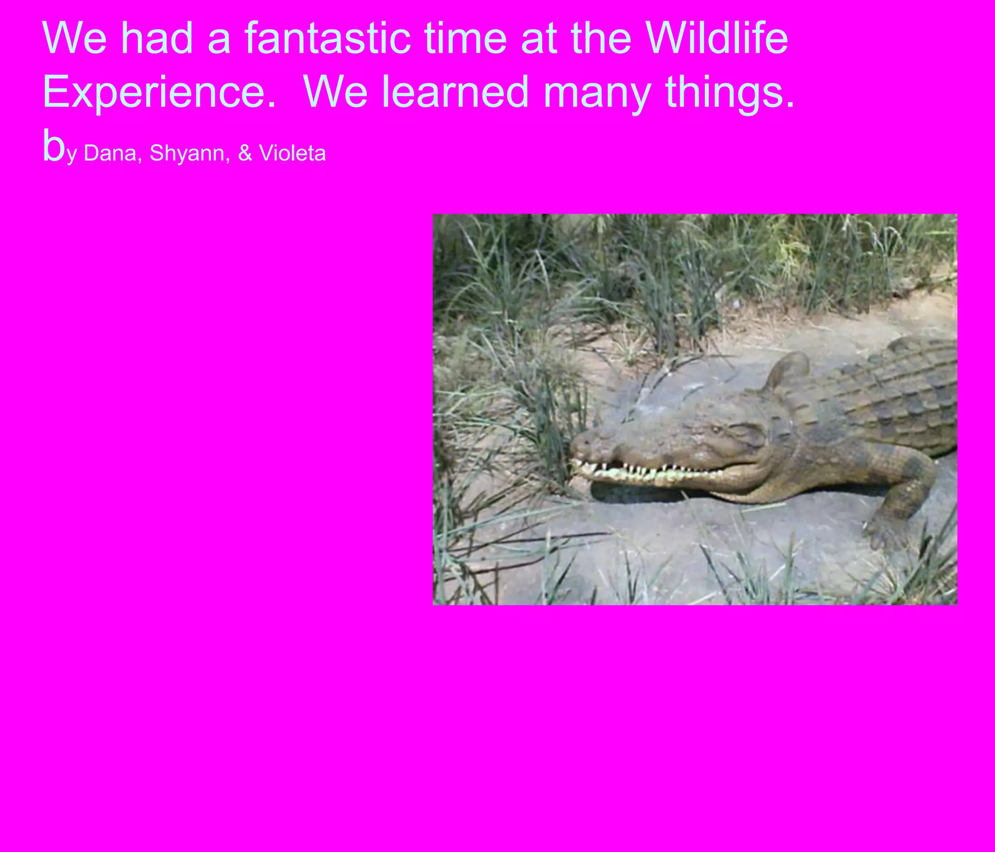 We had a fantastic time at the Wildlife Experience.  We learned many things.by Dana, Shyann, & Violeta