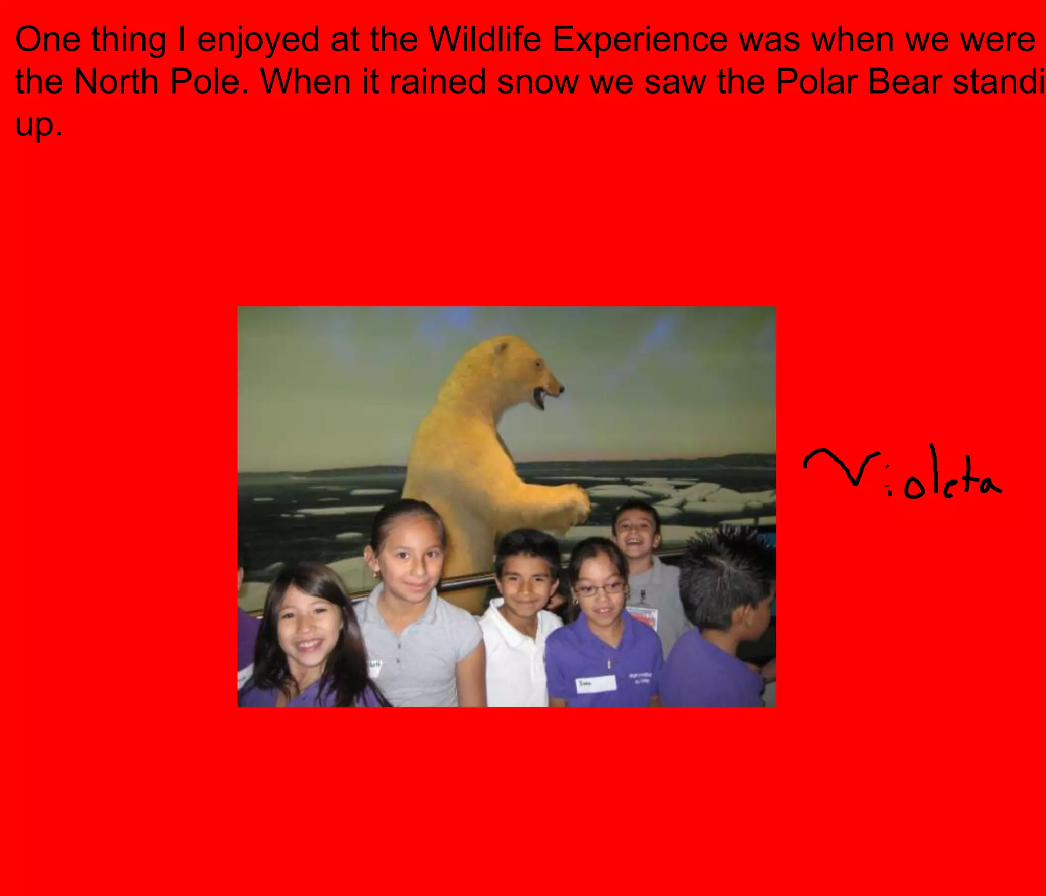 One thing I enjoyed at the Wildlife Experience was when we were at the North Pole. When it rained snow we saw the Polar Bear standing up.