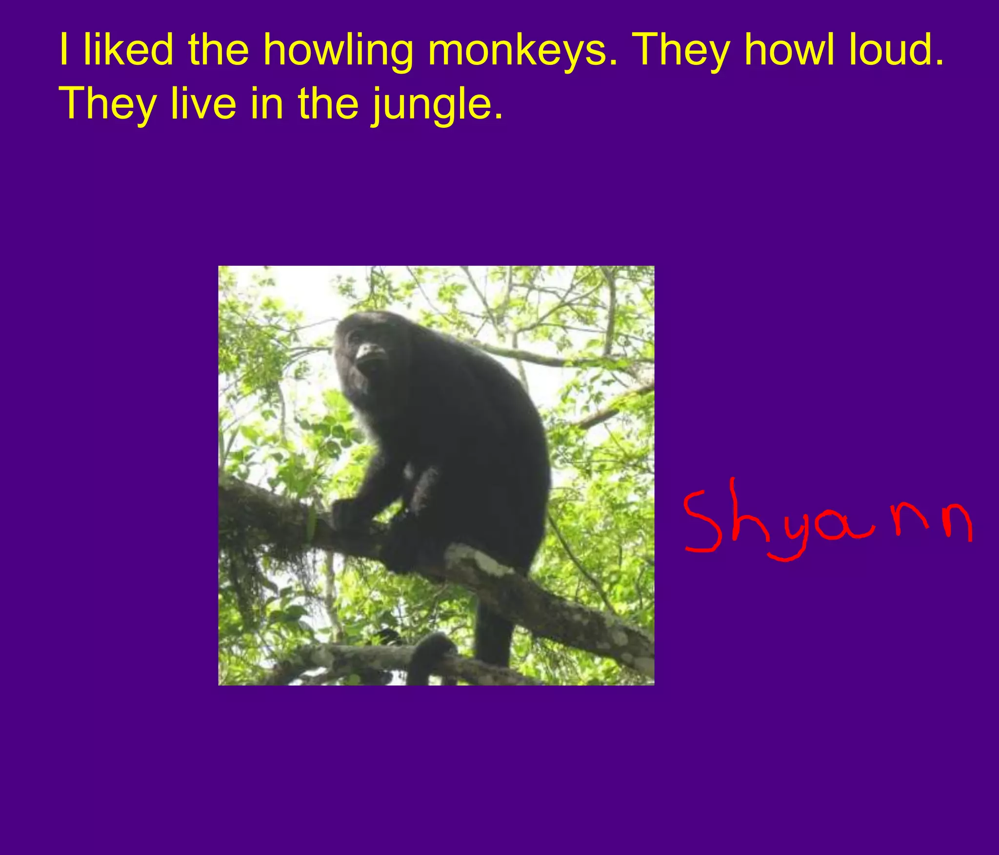 I liked the howling monkeys. They howl loud. They live in the jungle.