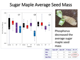 Sugar Maple Average Seed Mass
Phosphorus
decreased the
average sugar
maple seed
mass
C7 C8 C9
 