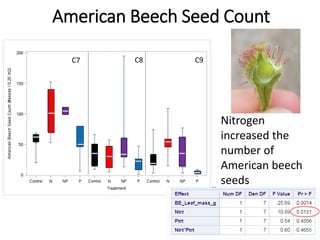 American Beech Seed Count
C7 C8 C9
Nitrogen
increased the
number of
American beech
seeds
 