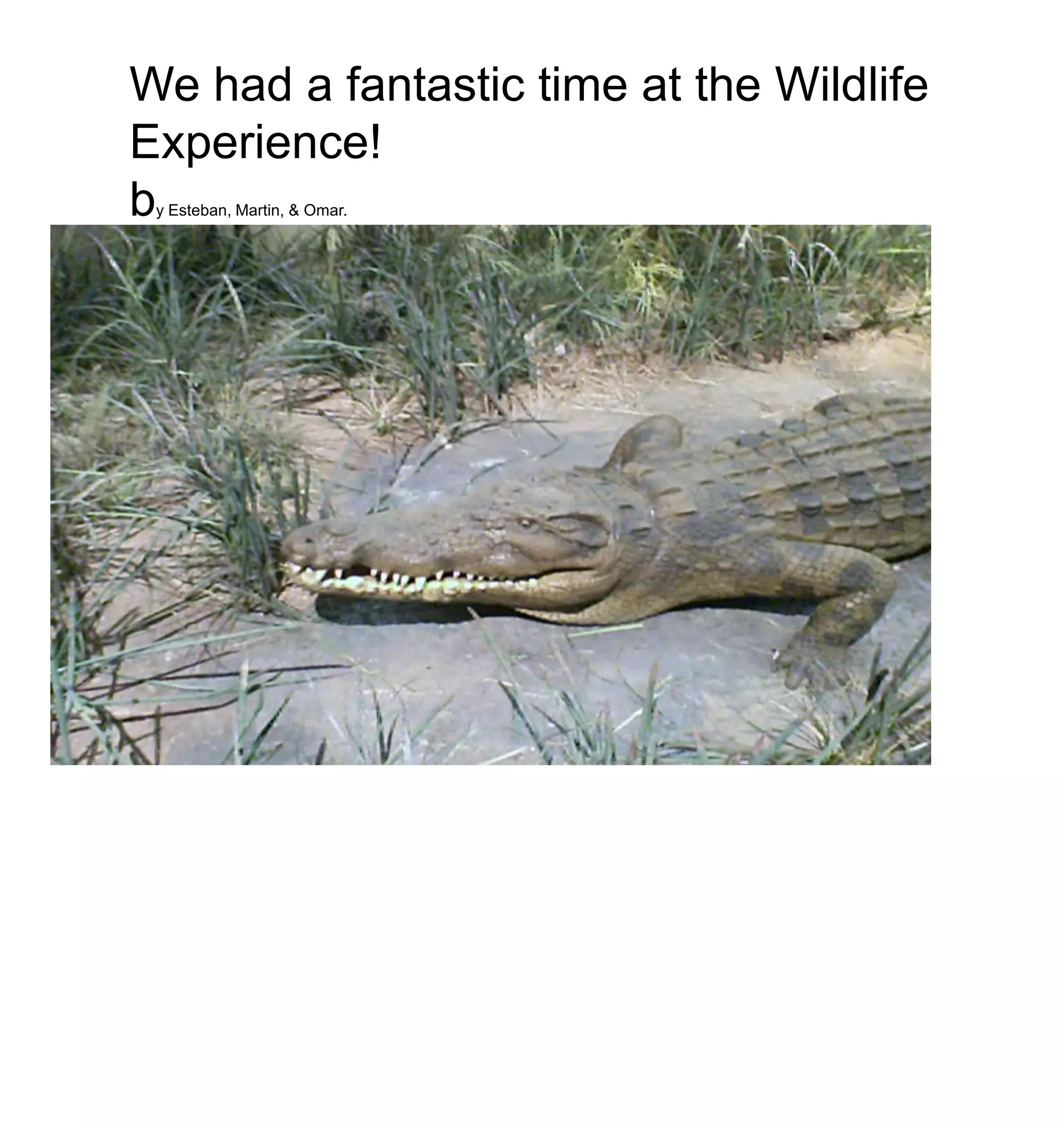 We had a fantastic time at the Wildlife Experience!by Esteban, Martin, & Omar.