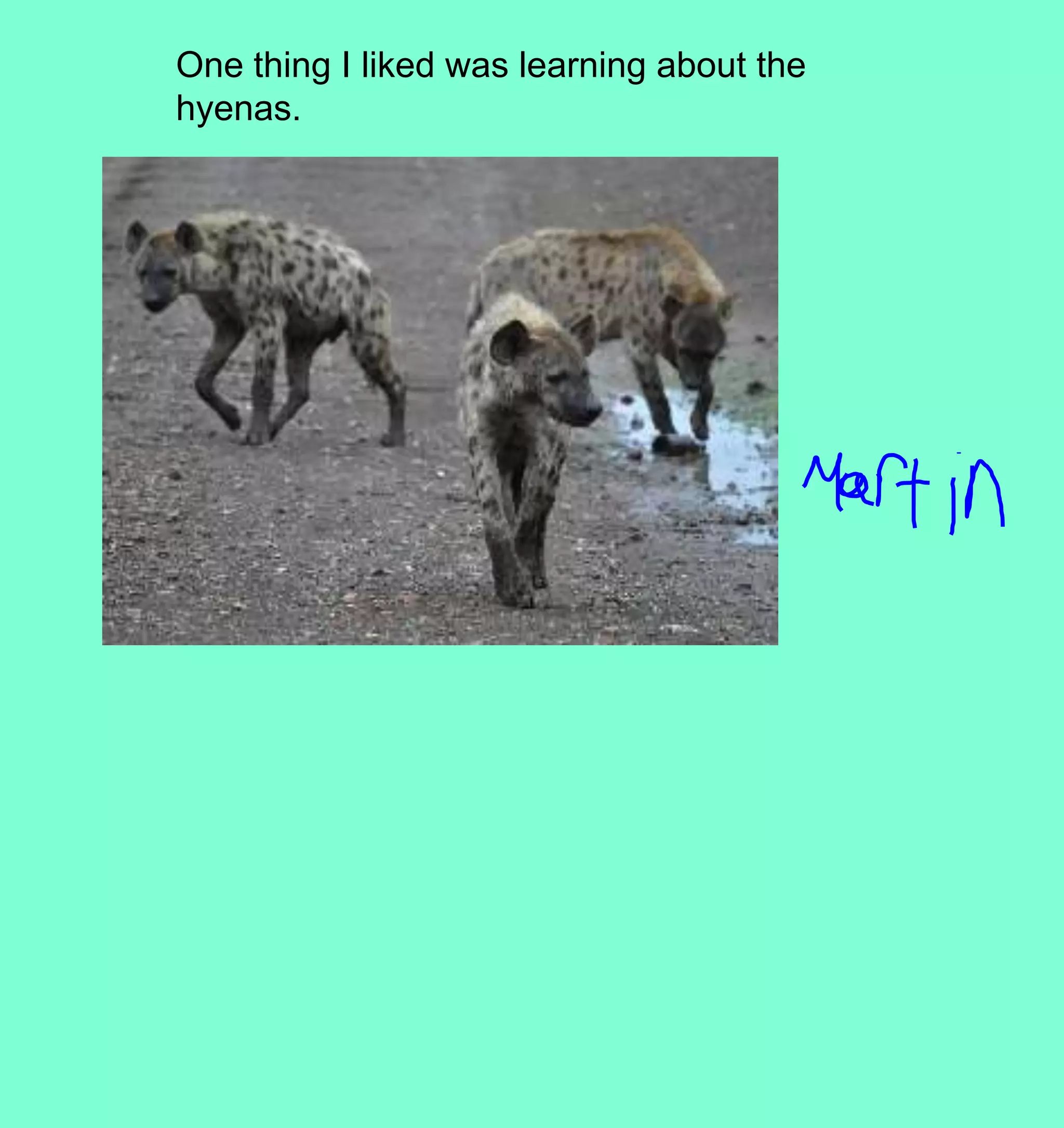 One thing I liked was learning about the hyenas.