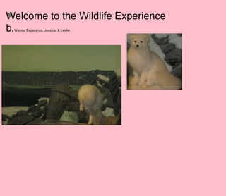 Welcome to the Wildlife Experience by Wendy, Esperanza, Jessica, & Leslie. 
