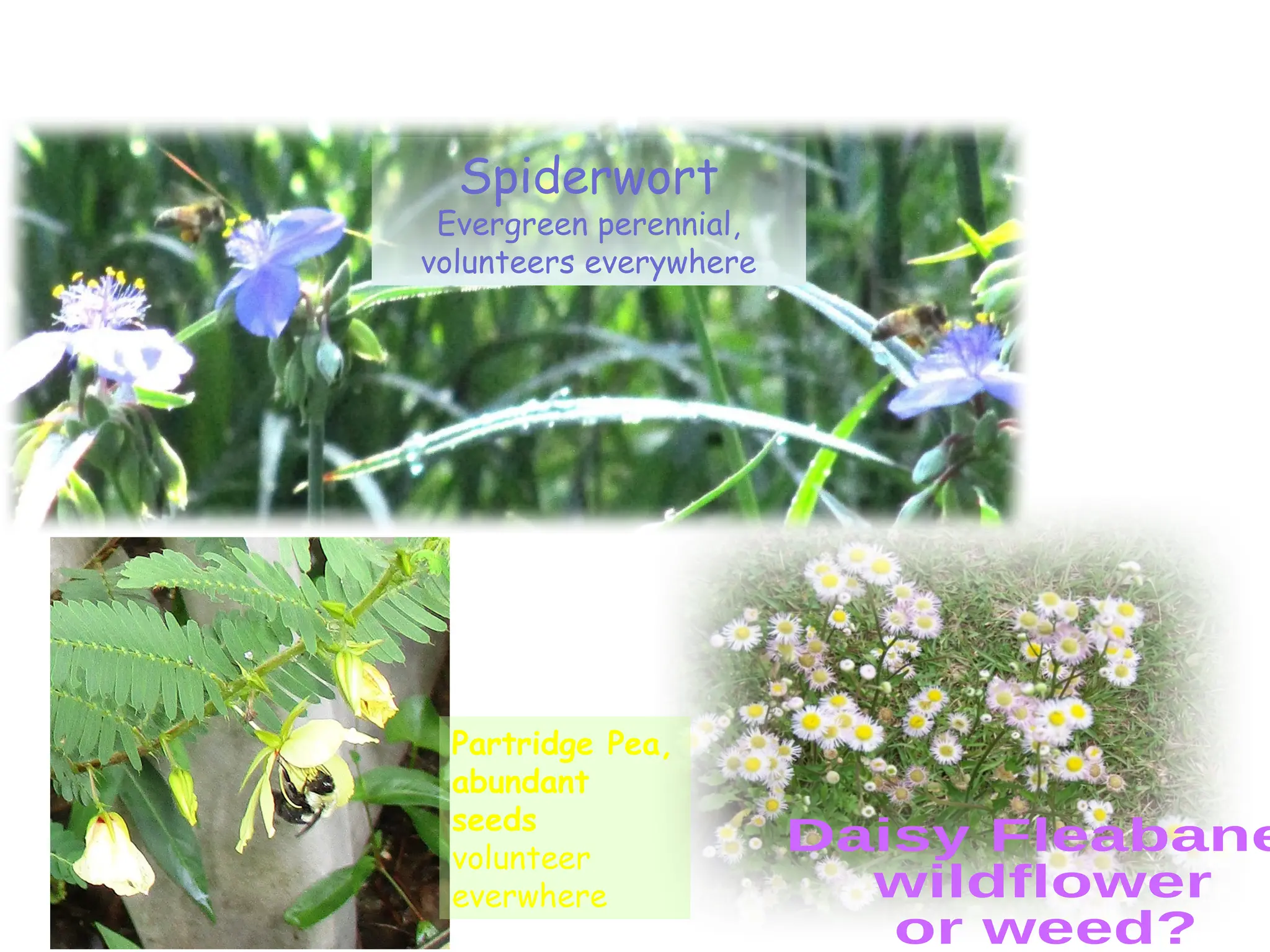 Slide 10