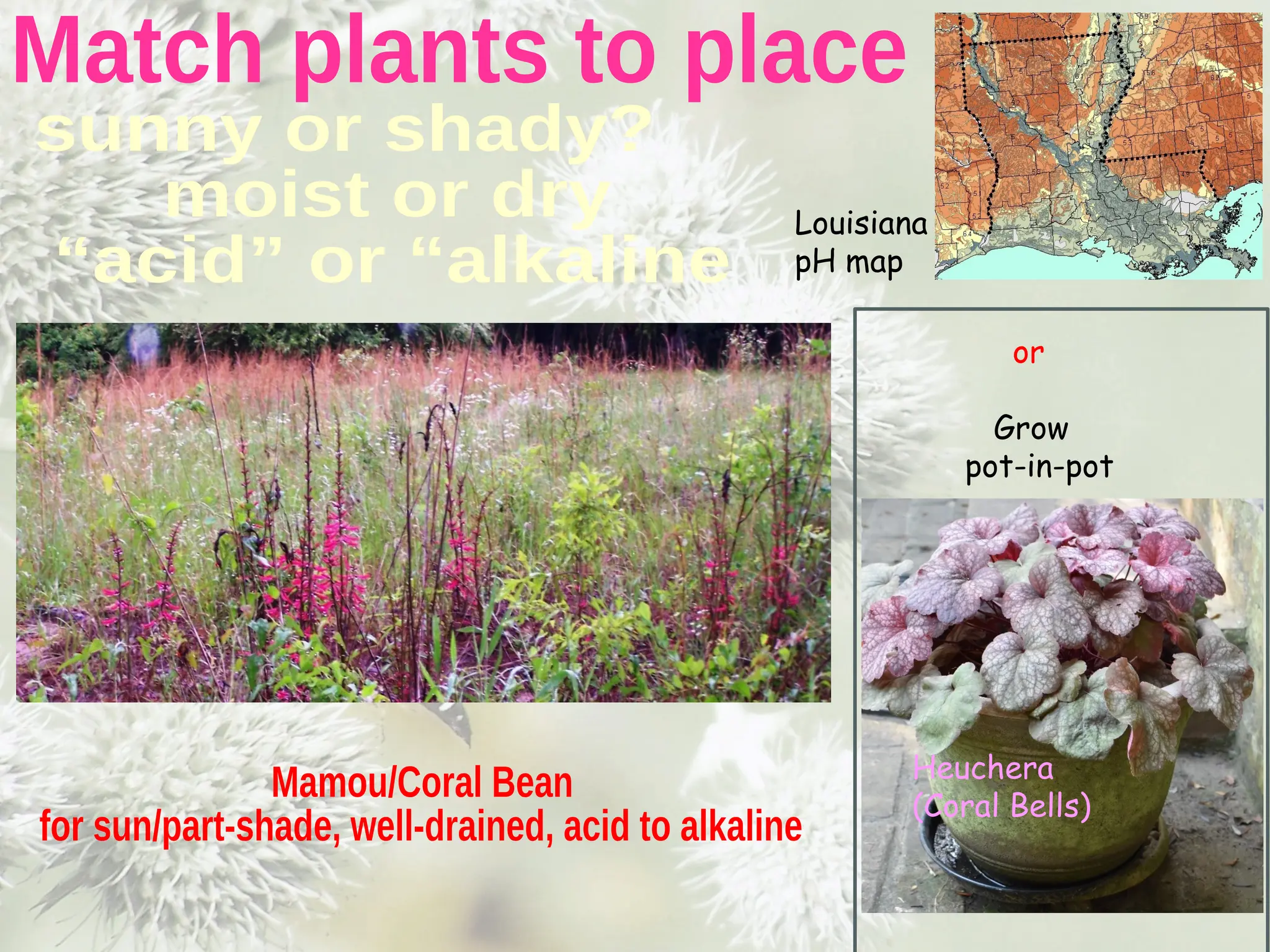 Slide 11