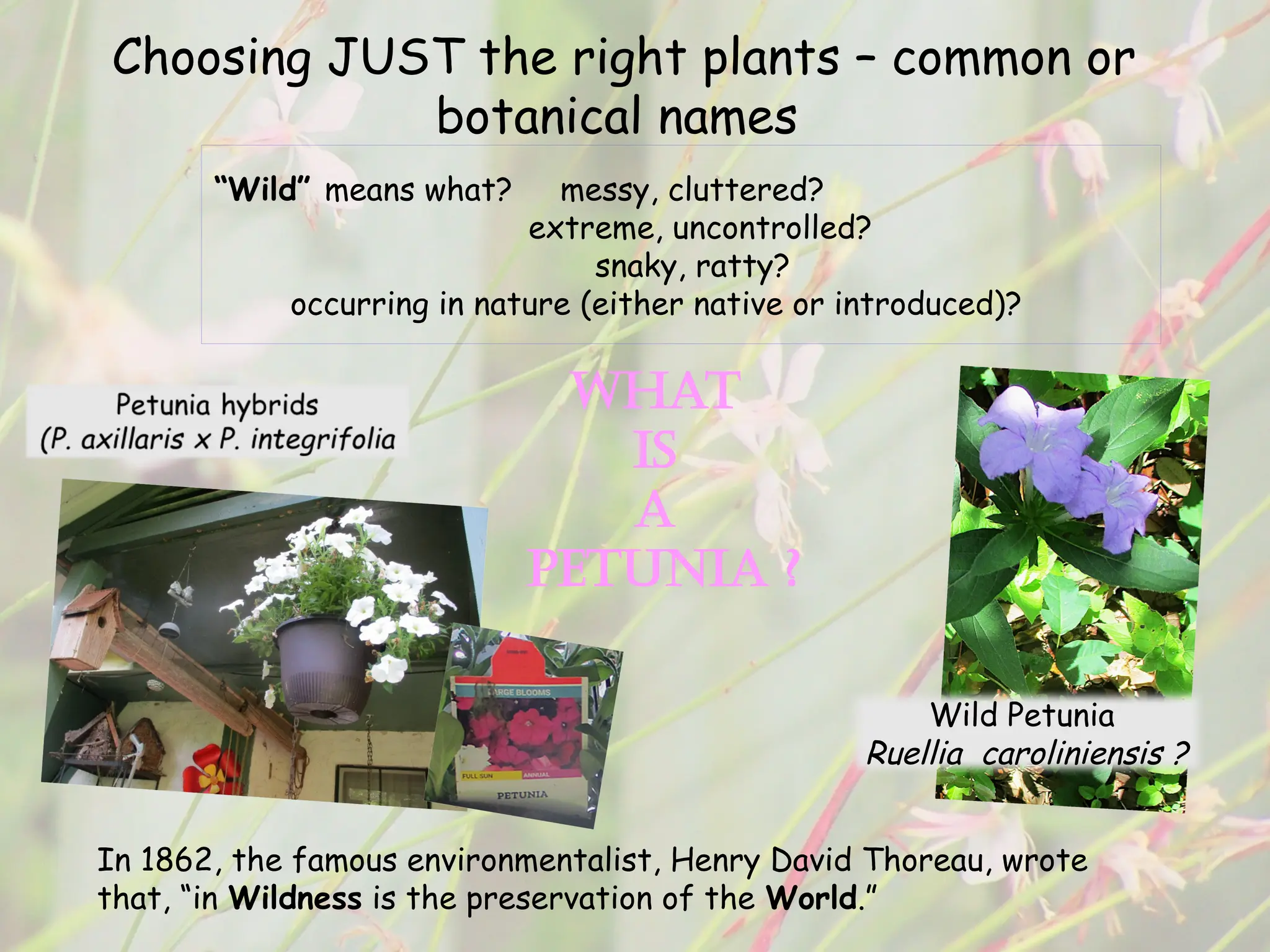 Slide 16