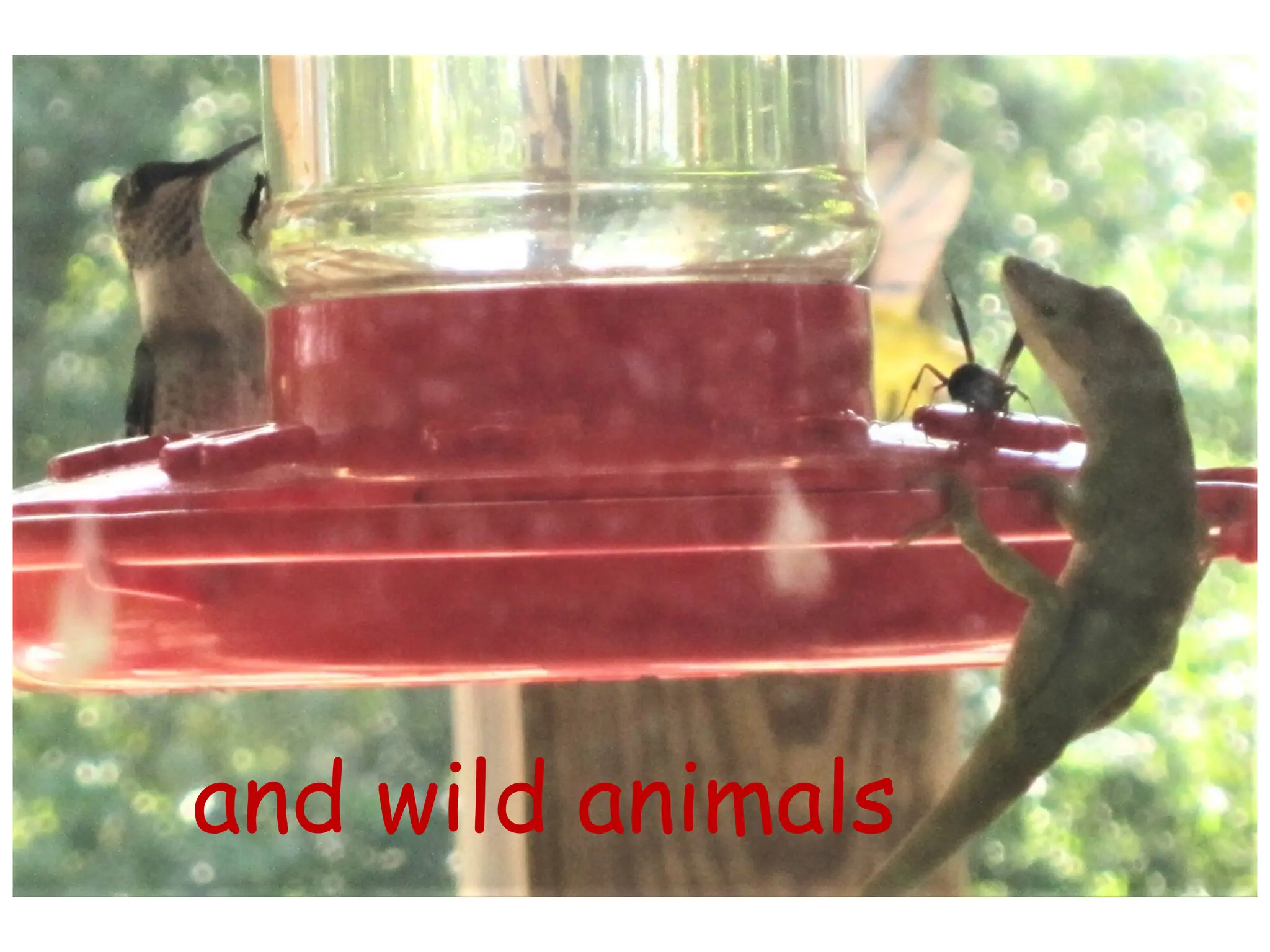 Slide 17