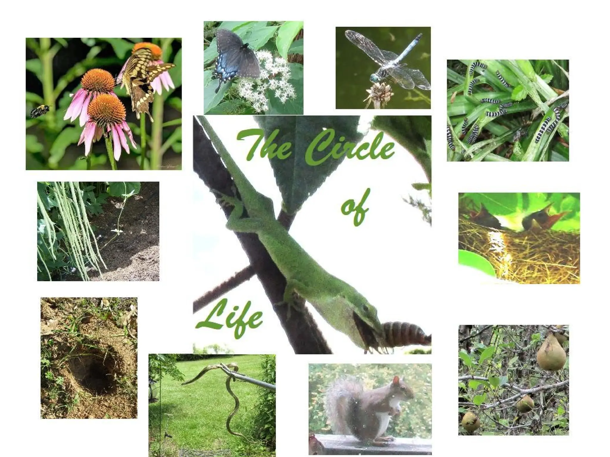 Slide 20