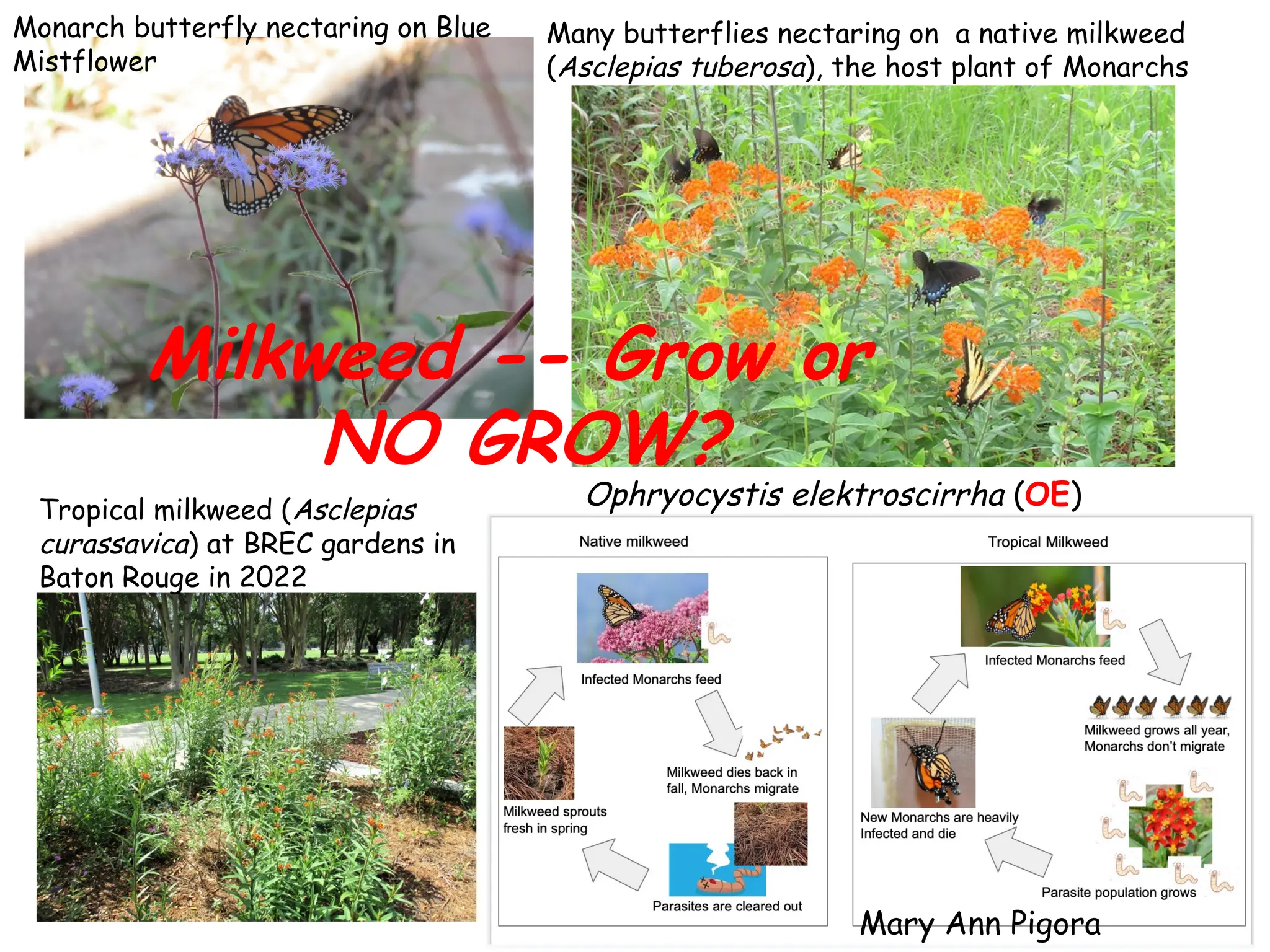 Slide 22