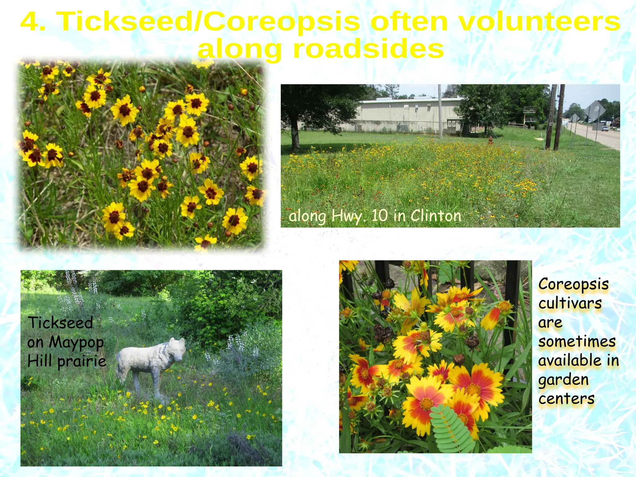Slide 29