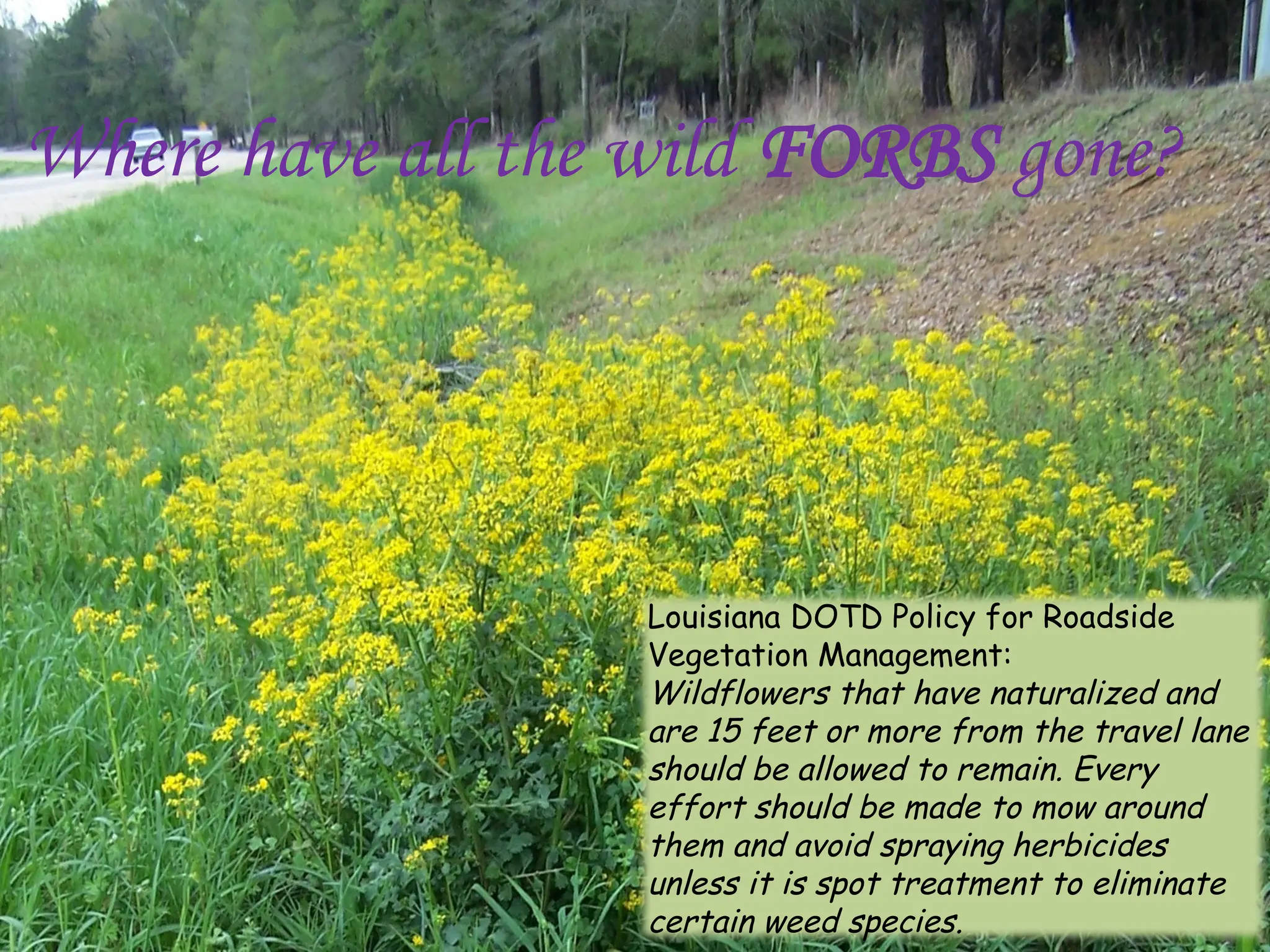 Slide 3