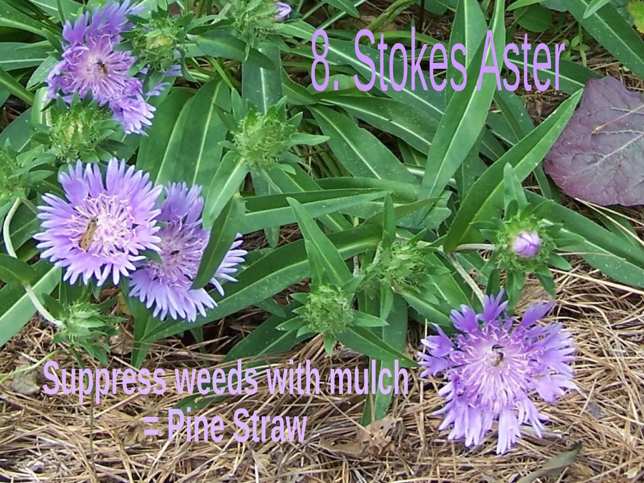 Slide 33
