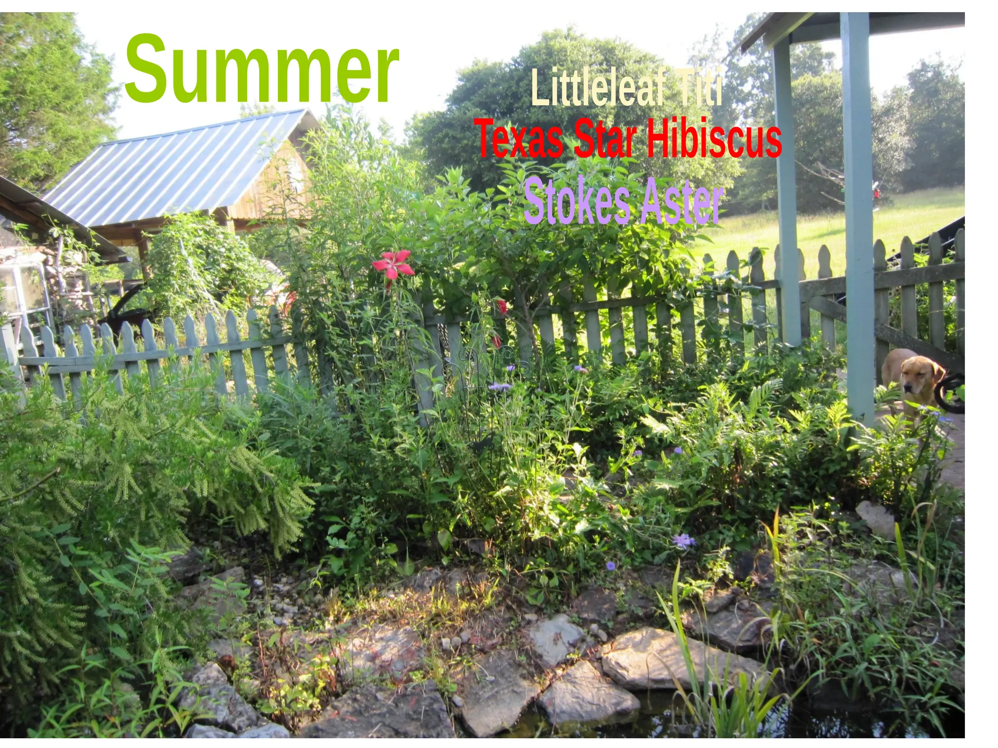 Slide 39