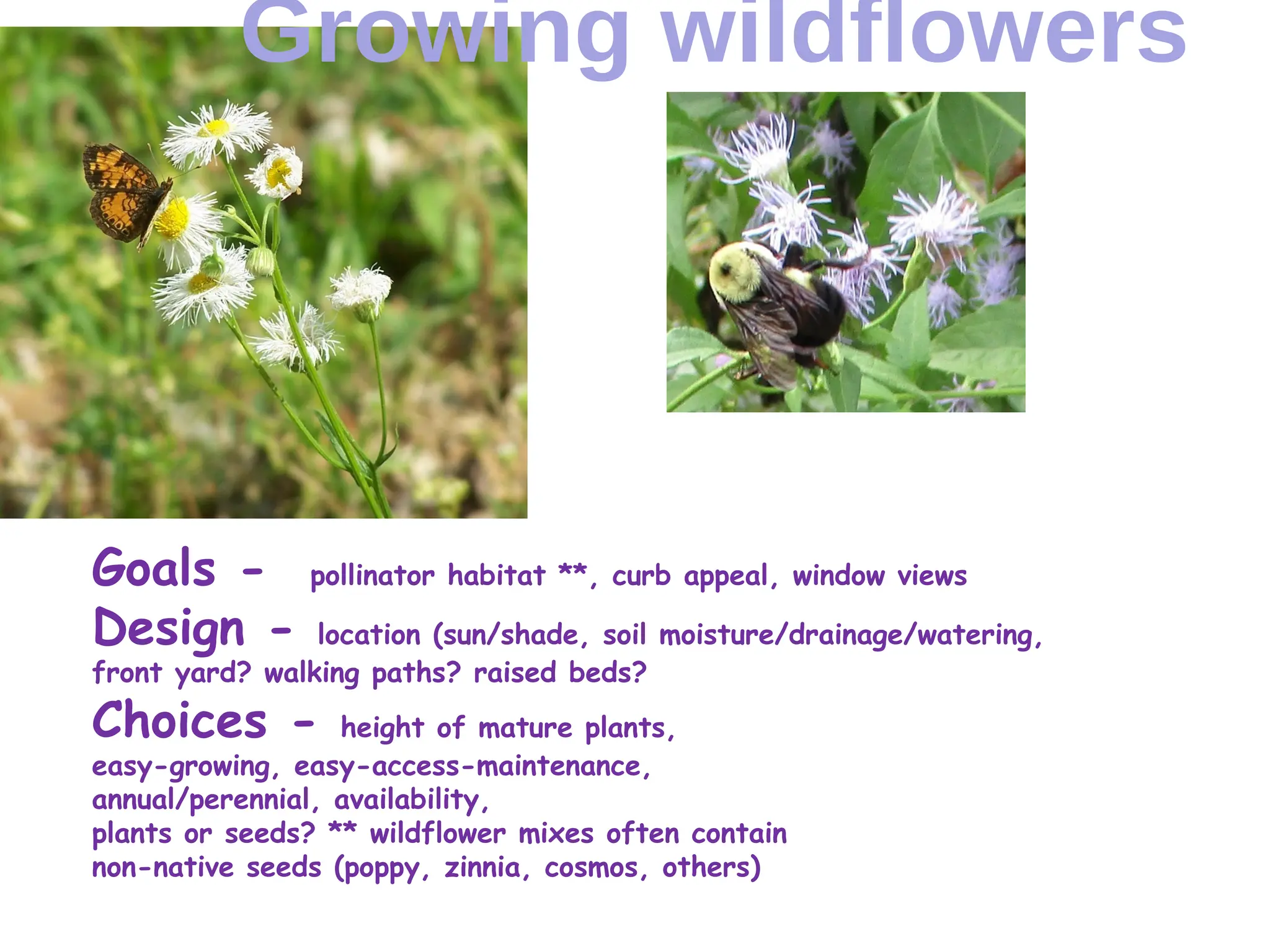 Slide 6