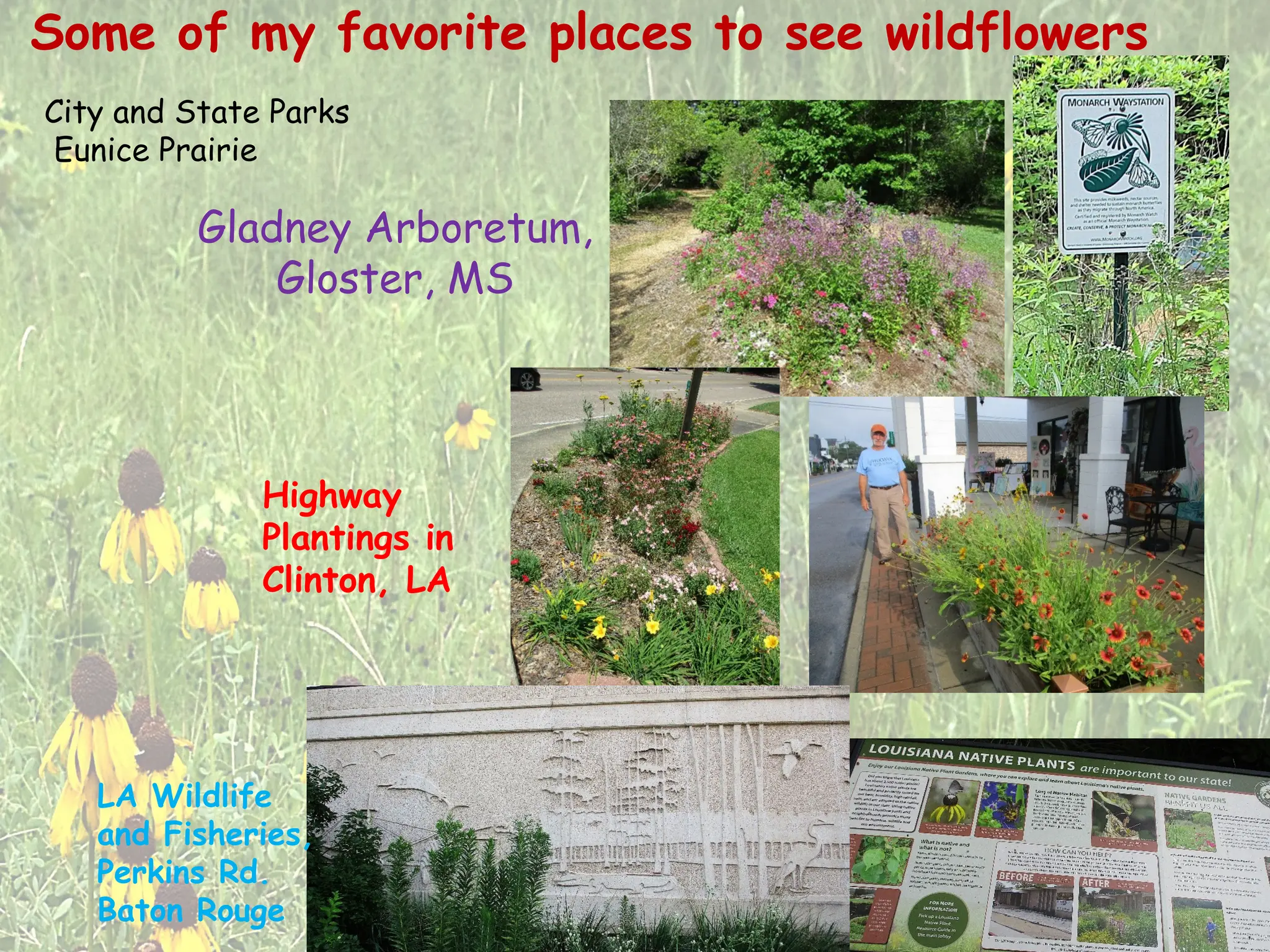Slide 9