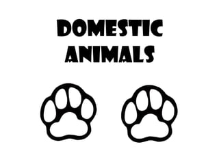 DOMESTIC
ANIMALS