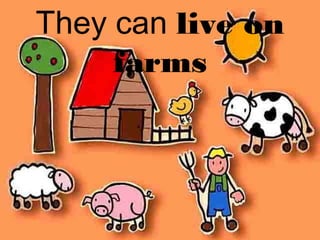 They can live on
farms