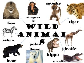 WILD
ANIMAL
S
lion tiger
giraffe
chimpanz
ee
monke
y
bear
hippo
zebra
polar
bear
crocodile