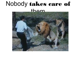 Nobody takes care of
them