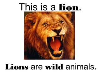 This is a lion.
Lions are wild animals.