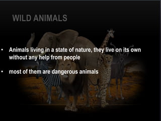 Wild and Domestic animals | PPTX