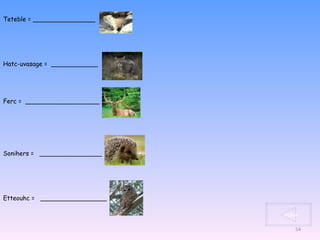 Teteble = ________________ Hatc-uvasage =  ____________ Ferc =  ___________________ Sonihers =  ________________ Etteouhc =  _________________ index 