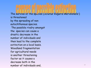 The survival of the species ( Sciurus Vulgaris Meridionalis  ) is threatened by the spreading of non autochthonous species. The possible rivalry amongst the  species can cause a drastic decrease in the number of individuals and then lead to the complete extinction on a local basis. Woodland fragmentation for agricultural needs is another threatening factor as it causes a decrease both in the number of individuals and, also, in genetic variation . causes of possible extinction 