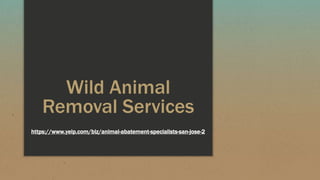 Wild Animal
Removal Services
https://www.yelp.com/biz/animal-abatement-specialists-san-jose-2
 