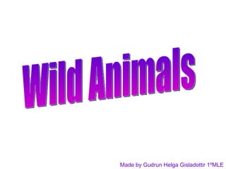 Wild Animals Made by Gudrun Helga Gisladottir 1ºMLE 