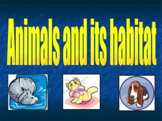 Animals and its habitat 