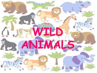 WILD
ANIMALS
 