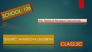 The theme of the lesson: wild animals.
CLASS:5C
TEASHEC: AHMEDOVA GULEBETIN.
 