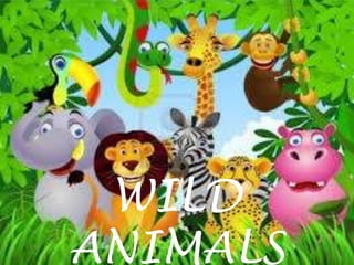 WILD 
ANIMALS 
 