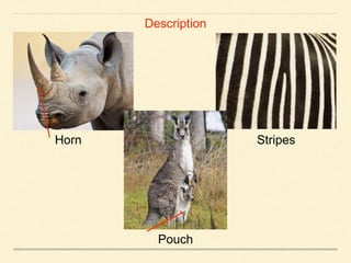 Description
Horn Stripes
Pouch
 
