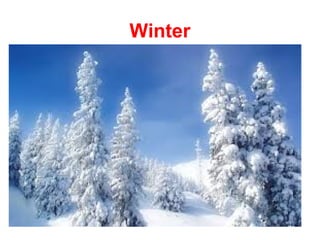 Winter
 
