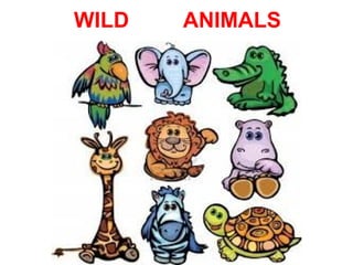 Wild Animals
WILD ANIMALS
 