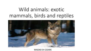 Wild animals: exotic
mammals, birds and reptiles
MAGNO DI CESARE
 