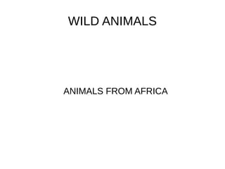 WILD ANIMALS
ANIMALS FROM AFRICA
 
