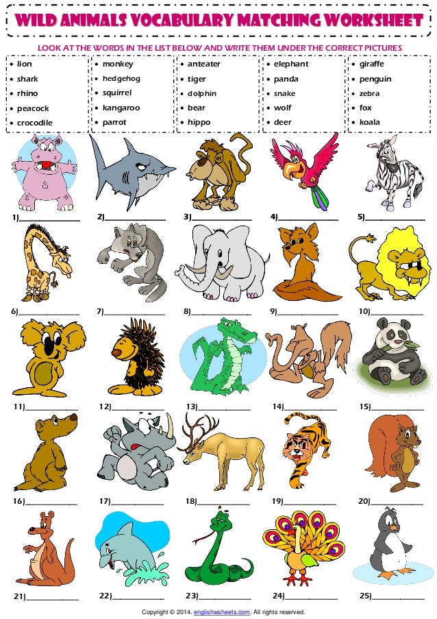 wild animals esl vocabulary matching exercise worksheet 1 638