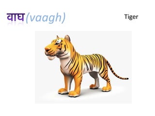 (vaagh)   Tiger
 