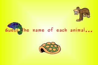 Wild animals ppt