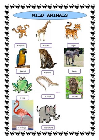 WILD ANIMALS
A monkey A giraffe
A leopard
A parrot A zebra
A tiger
An elephantA flamingo
A lizard
A frog
An owl
 