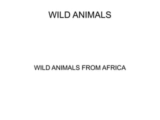 WILD ANIMALS
WILD ANIMALS FROM AFRICA
 