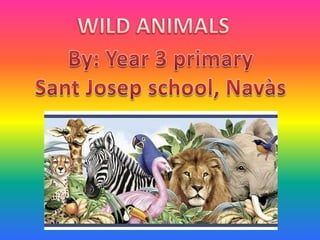 WILD ANIMALS By: Year 3 primary Sant Josep school, Navàs 