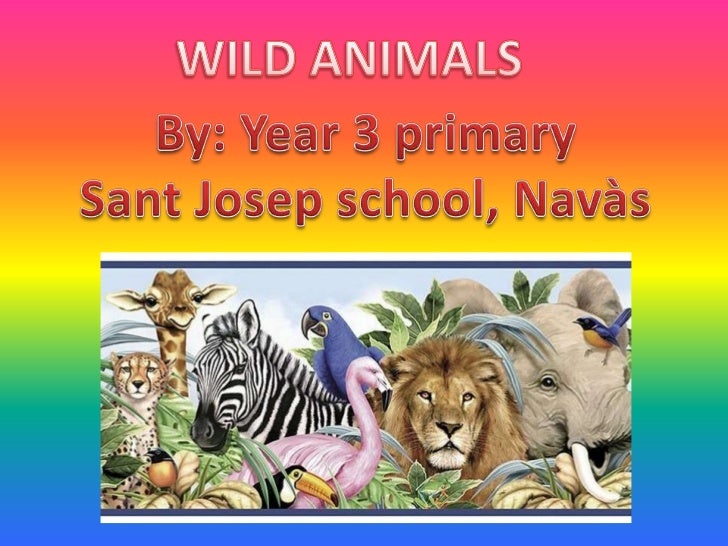 upcoming new year animals animals year3 upcoming new year animals animals year3
