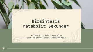 Kelompok 2-Kimia Bahan Alam
Oleh: Wildatul Hasanah/200210103023
Biosintesis
Metabolit Sekunder
 