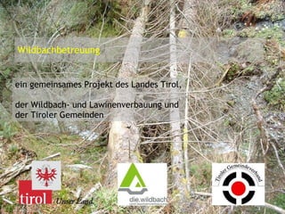 Wildbachbetreuung ein gemeinsames Projekt des Landes Tirol,  der Wildbach- und Lawinenverbauung und  der Tiroler Gemeinden 